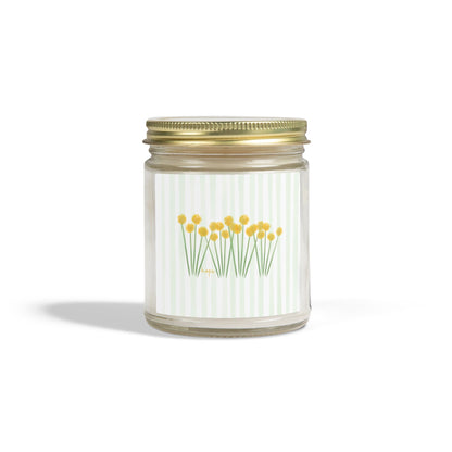 Hope | Candle — Coconut Apricot Wax